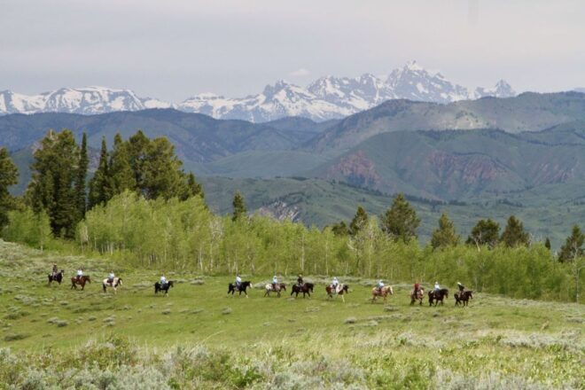 Jackson Hole: Teton View Guided Horseback Ride With Lunch - Directions