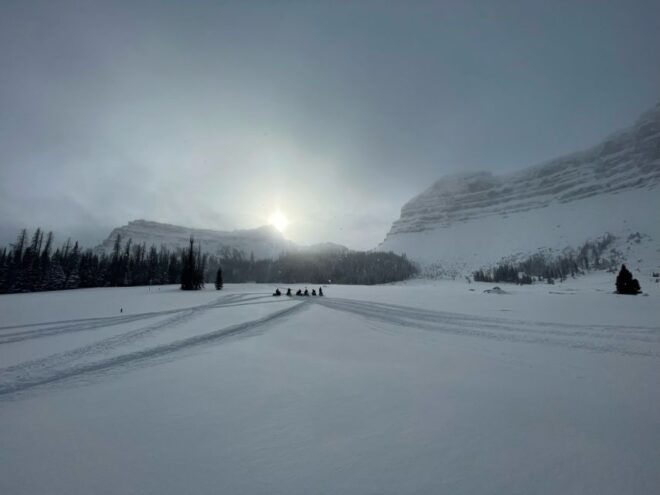 Jackson Hole: Turpin Meadow Snowmobile Tour - Customer Reviews