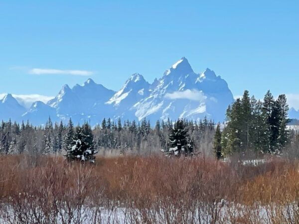 Jackson Hole: Turpin Meadow Snowmobile Tour - The Sum Up