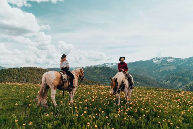 Jackson Signature 1/2 Day Ride Horseback Tour With Lunch - Important Information and Pricing