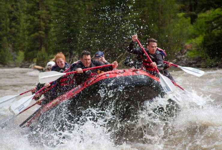 Jackson: Snake River Class 2-3 Whitewater Rafting Adventure - Booking Details