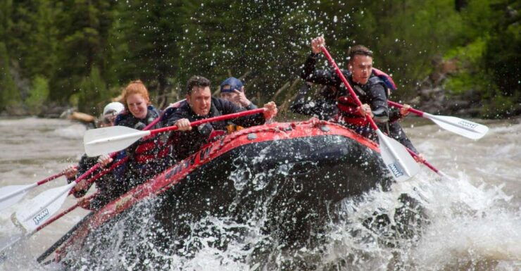 Jackson: Snake River Class 2-3 Whitewater Rafting Adventure - Experience Highlights