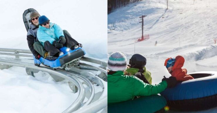 Jackson: Snow King Snow Tubing & Cowboy Coaster Combo - Booking and Reservation Details