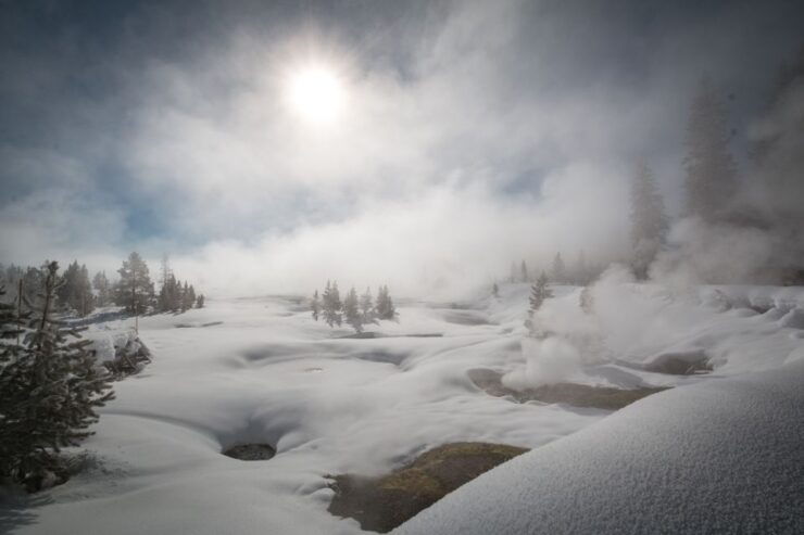 Jackson: Yellowstone Snowcoach Tour to Old Faithful - Good To Know