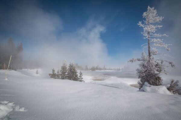 Jackson: Yellowstone Snowcoach Tour to Old Faithful - Weather Conditions