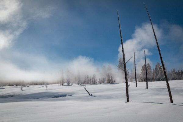 Jackson: Yellowstone Snowcoach Tour to Old Faithful - Directions