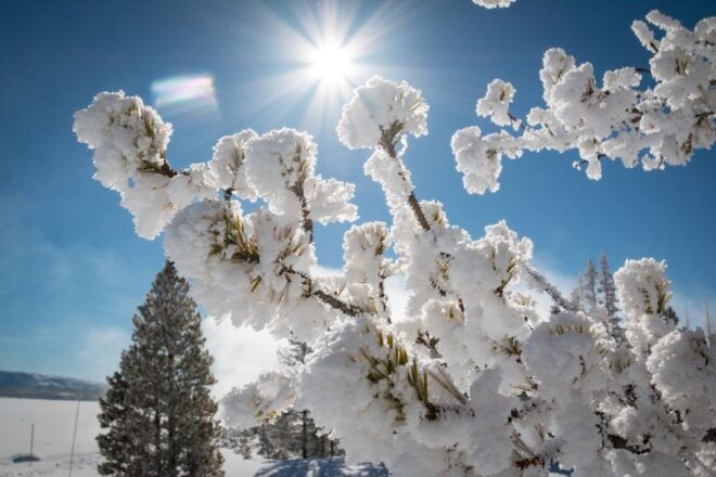 Jackson: Yellowstone Snowmobile Tour to Old Faithful - Snowmobiling Through Yellowstone