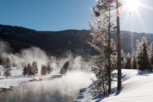 Jackson: Yellowstone Snowmobile Tour to Old Faithful - Frequently Asked Questions