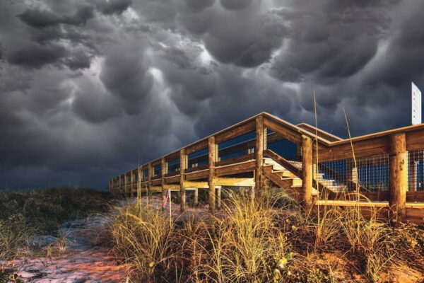 Jacksonville: Boos and Booze Haunted Pub Crawl - What to Bring and Not Allowed