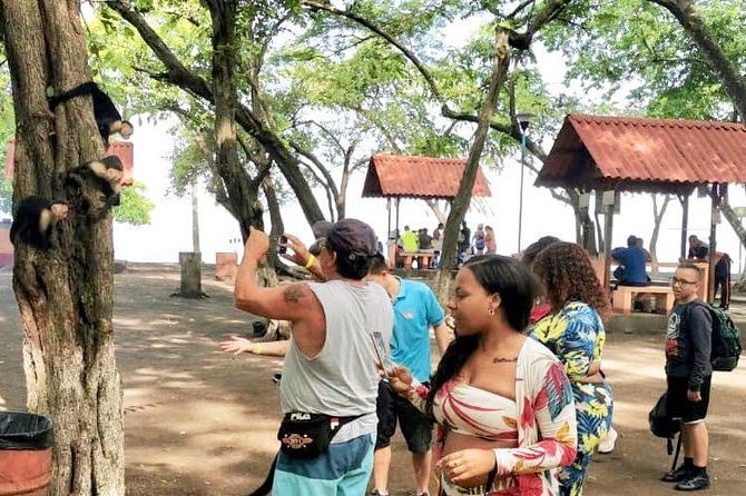 Jaco Highlights Tour - Traveler Experiences and Reviews
