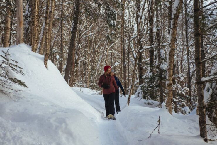 Jacques-Cartier: National Park Entry Ticket & Snowshoeing - Activity Details