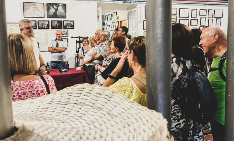 Jaén: Guided Olive Mill Tour With Olive Oil Tasting - Good To Know