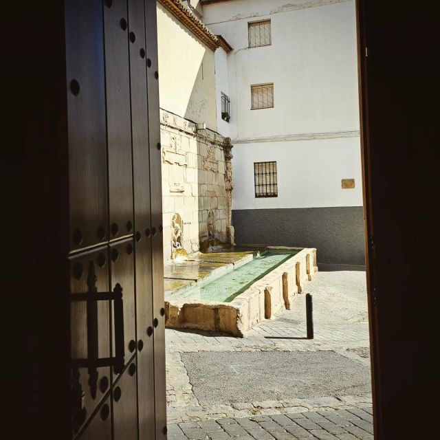 Jaén: Tour, Cathedral, Arch San Lorenzo and Jewish Quarter - Main Stops and Highlights