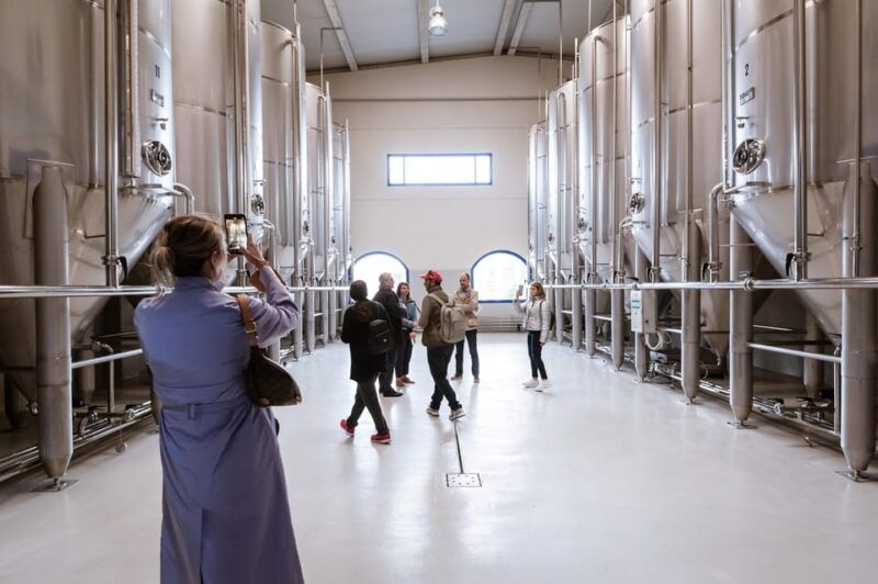 Jaén: Unforgettable Visit to the Olive Mill + EVOO Tasting - Overview of the Picualia Olive Mill