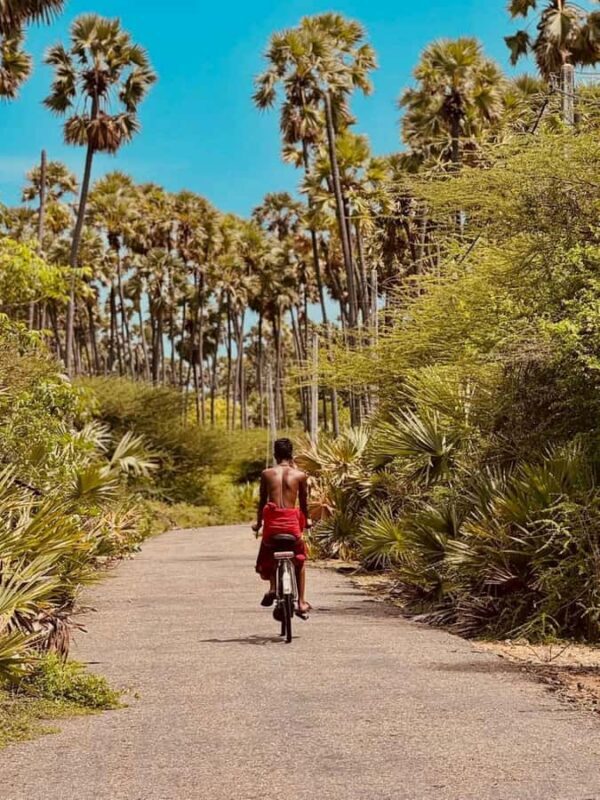 Jaffna City Tuk Tuk Adventure  Explore Like a Local! - Introduction: Why a Tuk Tuk Tour in Jaffna is a Great Choice