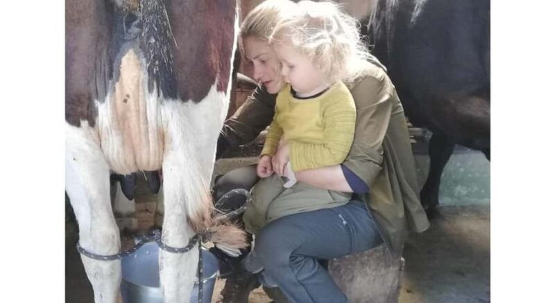 Jaffna: Cow Milking and Dairy Farm Experience - Good To Know