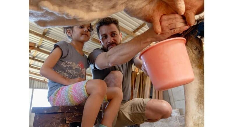 Jaffna: Cow Milking and Dairy Farm Experience - Tasting Fresh Dairy Products and Homemade Sweets