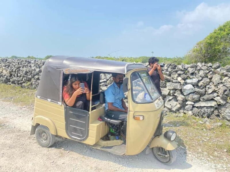 Jaffna: Delft and Nainativu Island Tour with Local Guide - A Comprehensive Look at the Tour Experience