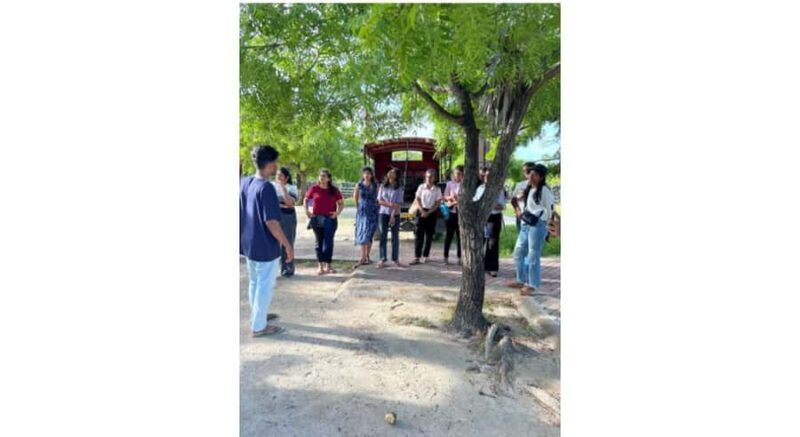 Jaffna: Delft Island Overnight Tour with Tamil Village Stay - Exploring Delft Island: What’s in Store