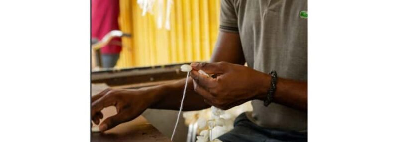 Jaffna: Garland Making and Temple Visit with Guide - Detailed Breakdown of the Experience