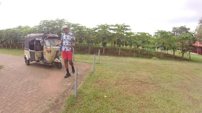 Jaffna: Private Guided Tour of the City by Tuk-Tuk - A Detailed Look at the Jaffna Tuk-Tuk Tour