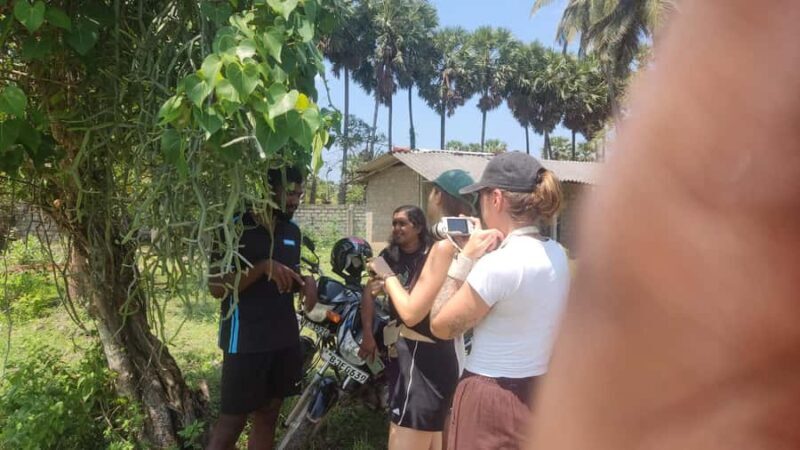 Jaffna: Tamil Farming Experience with Local Farmers - Good To Know