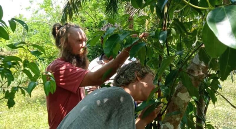 Jaffna: Tamil Farming Experience with Local Farmers - Why This Tour is Worth Considering