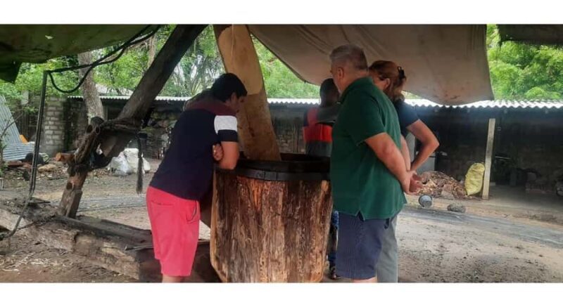 Jaffna Traditional Sesame Oil Extraction Experience - Good To Know
