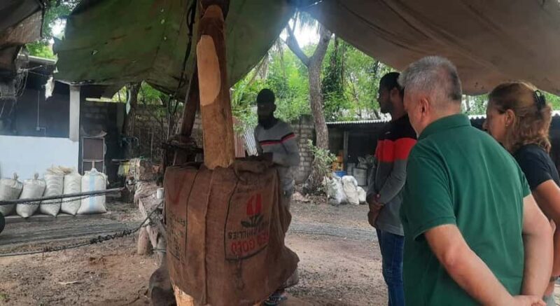 Jaffna Traditional Sesame Oil Extraction Experience - Filtration, Storage, and Cultural Significance