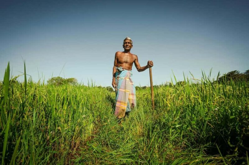 Jaffna War History Trail  Explore the Unseen North - Who Should Consider This Tour?