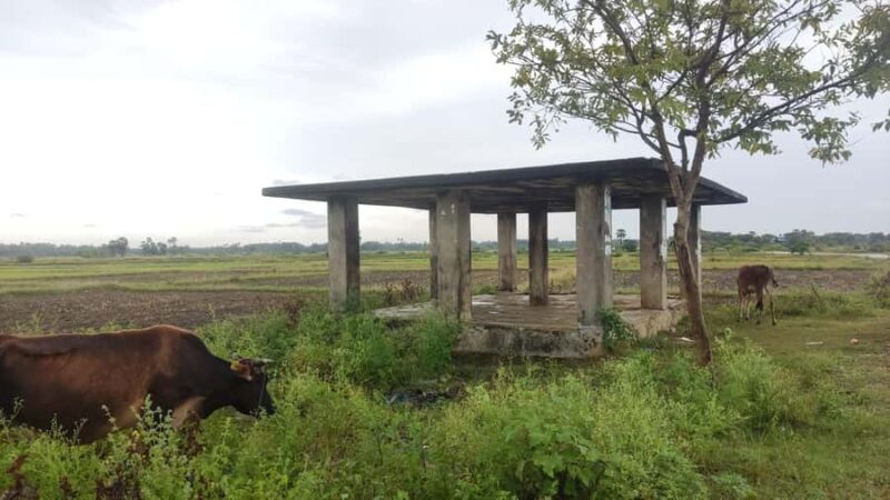 Jaffnas Hidden Archaeological Gems A Walk Through History - Good To Know