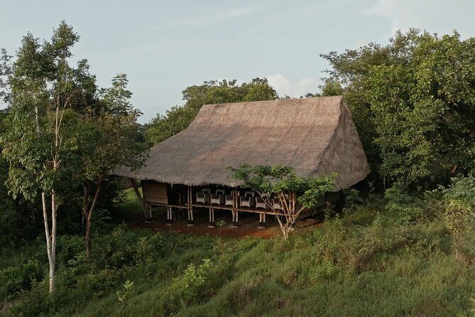 Jahoo: Gibbon Tracking Walk in Keo Seima Wildlife Sanctuary - Good To Know