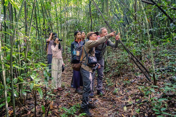 Jahoo: Gibbon Tracking Walk in Keo Seima Wildlife Sanctuary - Transportation, Guides, and Value