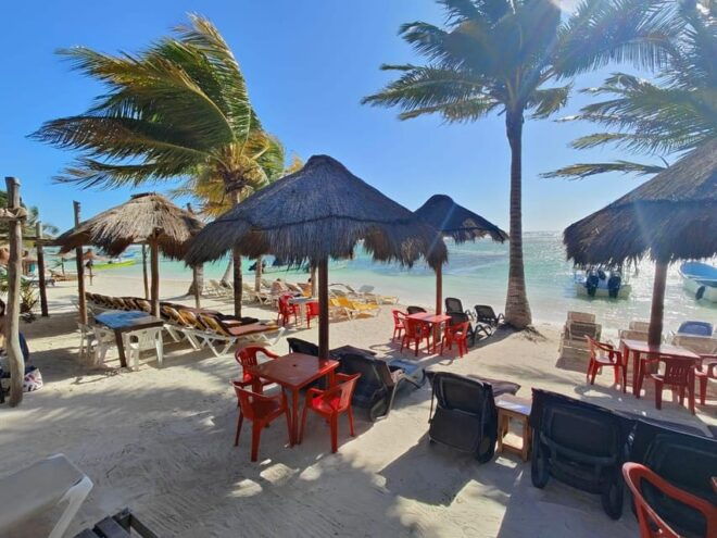 Jaimes at the Blue Reef All You Can Eat,Drinks +Snorkel Boat - Dining Experience