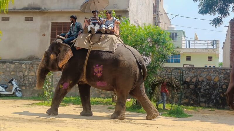 Jaipur 2 Day Private Tour With Guide - A Deep Dive into Jaipur’s 2-Day Private Tour