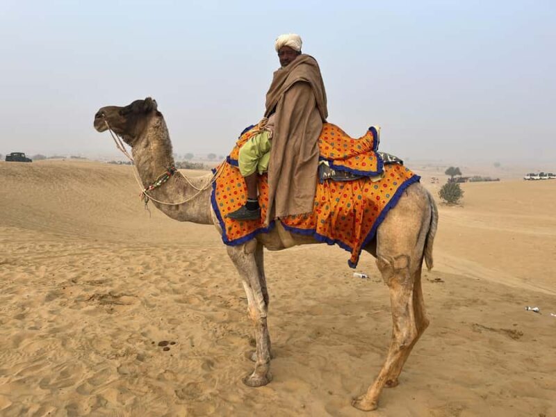 Jaipur: 2Days Ranthambore Tiger Safari and Jaipur Tour - Final Verdict