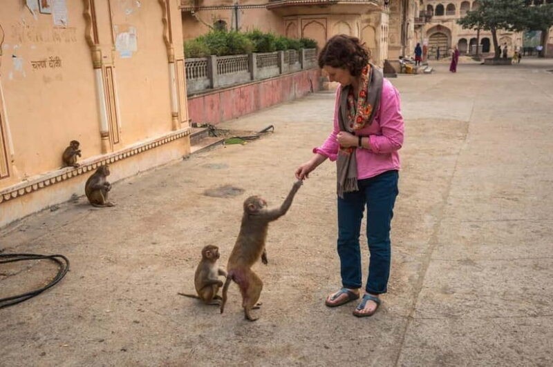 Jaipur: Abhaneri Stepwell & Village Life Experience - The Sum Up