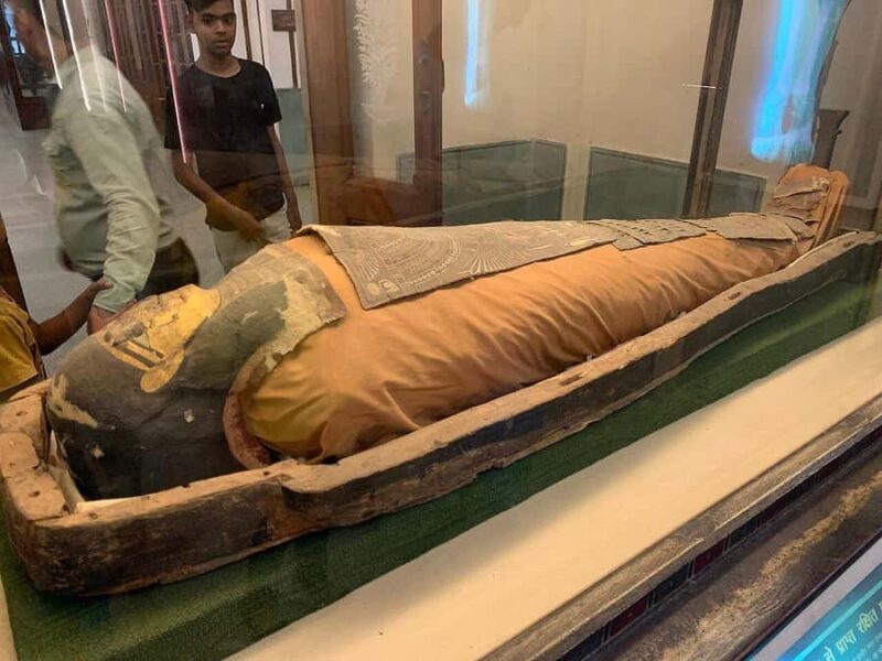 Jaipur: Albert Hall Museum Guided Walking Tour - An In-Depth Look at the Jaipur Albert Hall Museum Tour