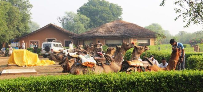 Jaipur: All Inclusive Chand Baori & Bhangarh Fort Tour - Restrictions