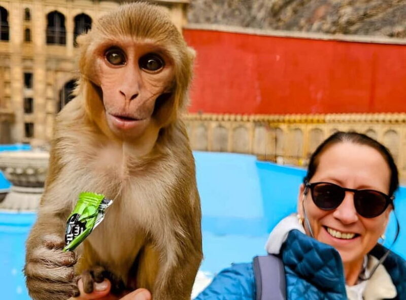 Jaipur: Amber Fort Guided Tour with Skip-the-Line Tickets - Who Should Consider This Tour?