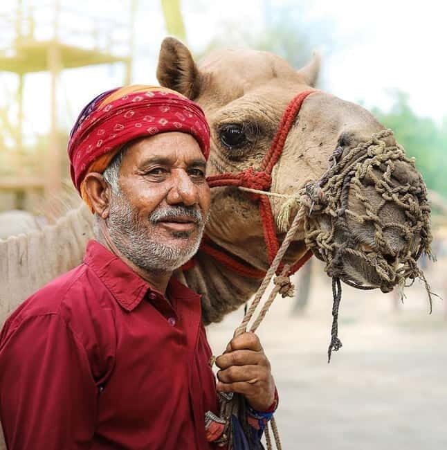 Jaipur Chokhi Dhani Village Dinner with Transfers with guide - FAQ