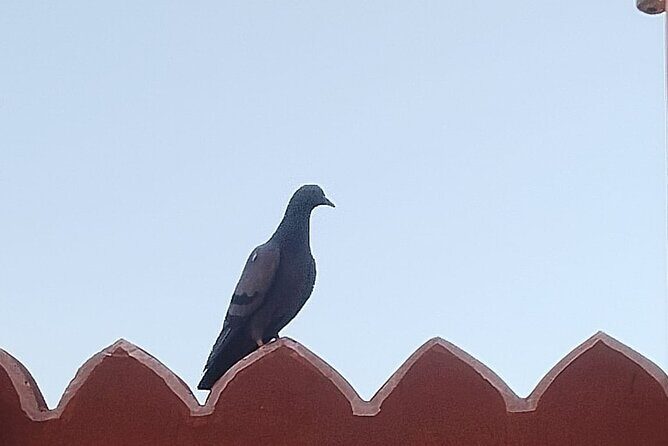 Jaipur City Full Day Luxury Private Tour - Final Thoughts  