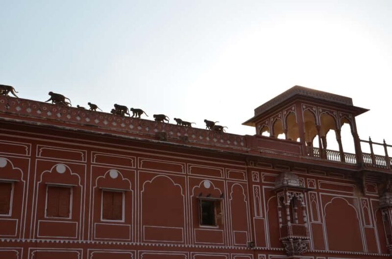 Jaipur: City Highlights Tour with Local Transport - A Close Look at the Jaipur City Highlights Tour