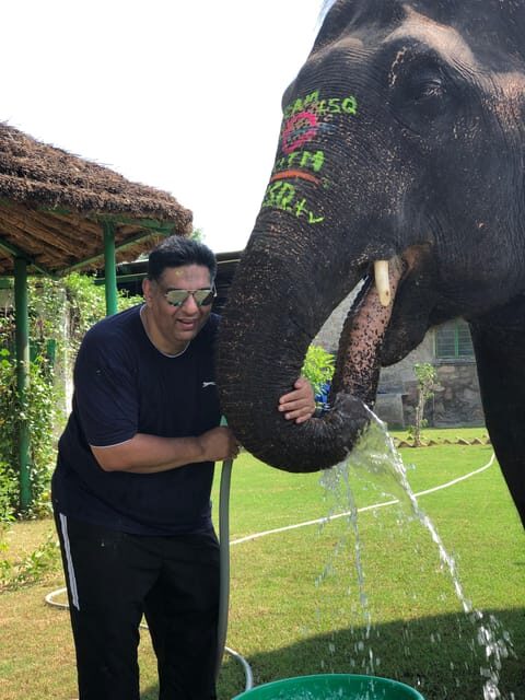 Jaipur: City Tour With Elephant Interaction - FAQ