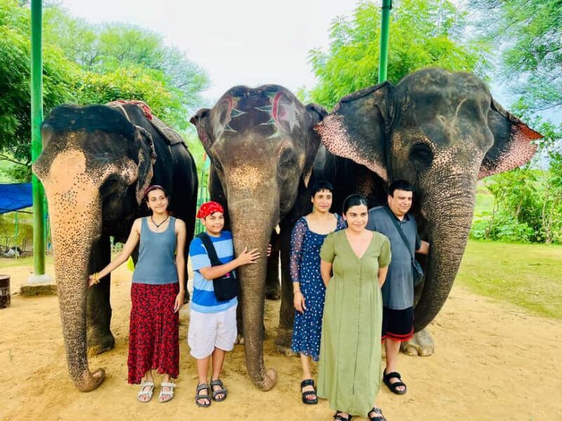 Jaipur: City Tour With Elephant Interaction - Final Thoughts