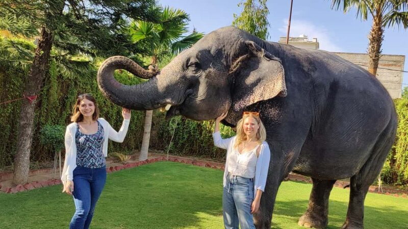 Jaipur Elephant Experience: Bond, Connect, and Learn - Who Would Enjoy This Tour?