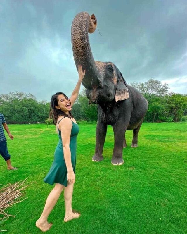 Jaipur: Elephant Experience Feed, Paint & Ride with Pickup - What We Love About This Tour