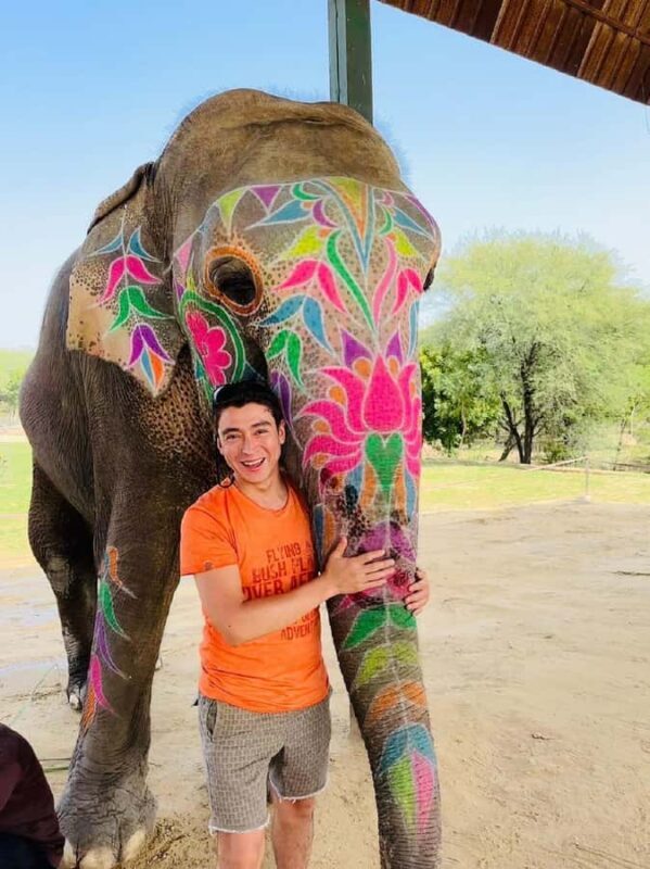 Jaipur: Elephant Experience Feed, Paint & Ride with Pickup - Good To Know