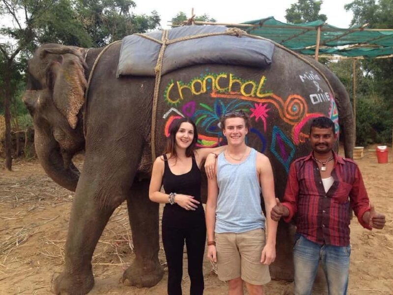 Jaipur: Elephant Experience Feed, Paint & Ride with Pickup - Value and Overall Experience