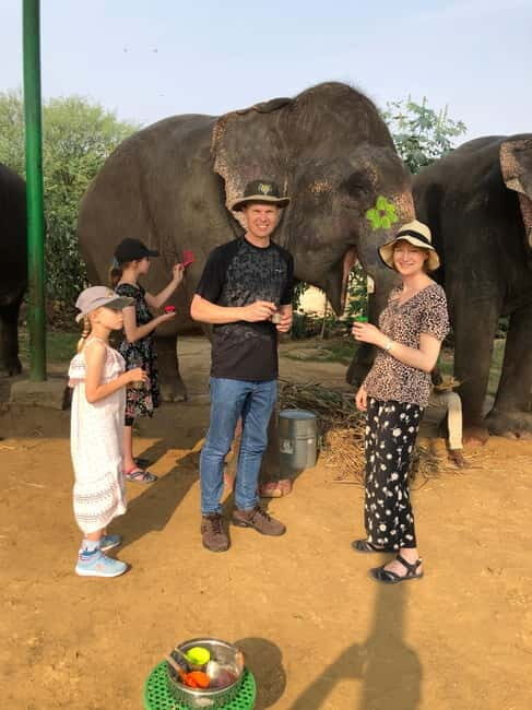 Jaipur: Elephant Interaction Tour - FAQs